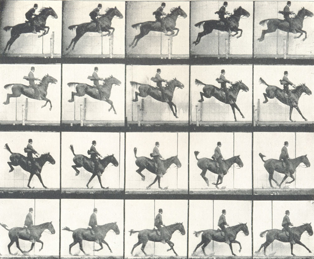 HORSE JUMPING FENCE. The Leap. Suspension, Landing, and Recovery 1912 print